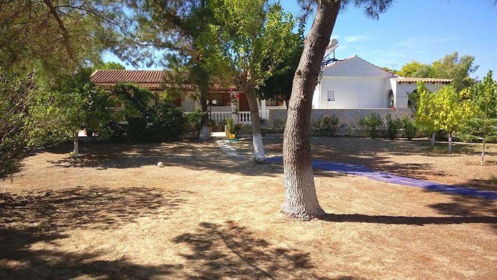 לפקימי Ionio Apartments מראה חיצוני תמונה